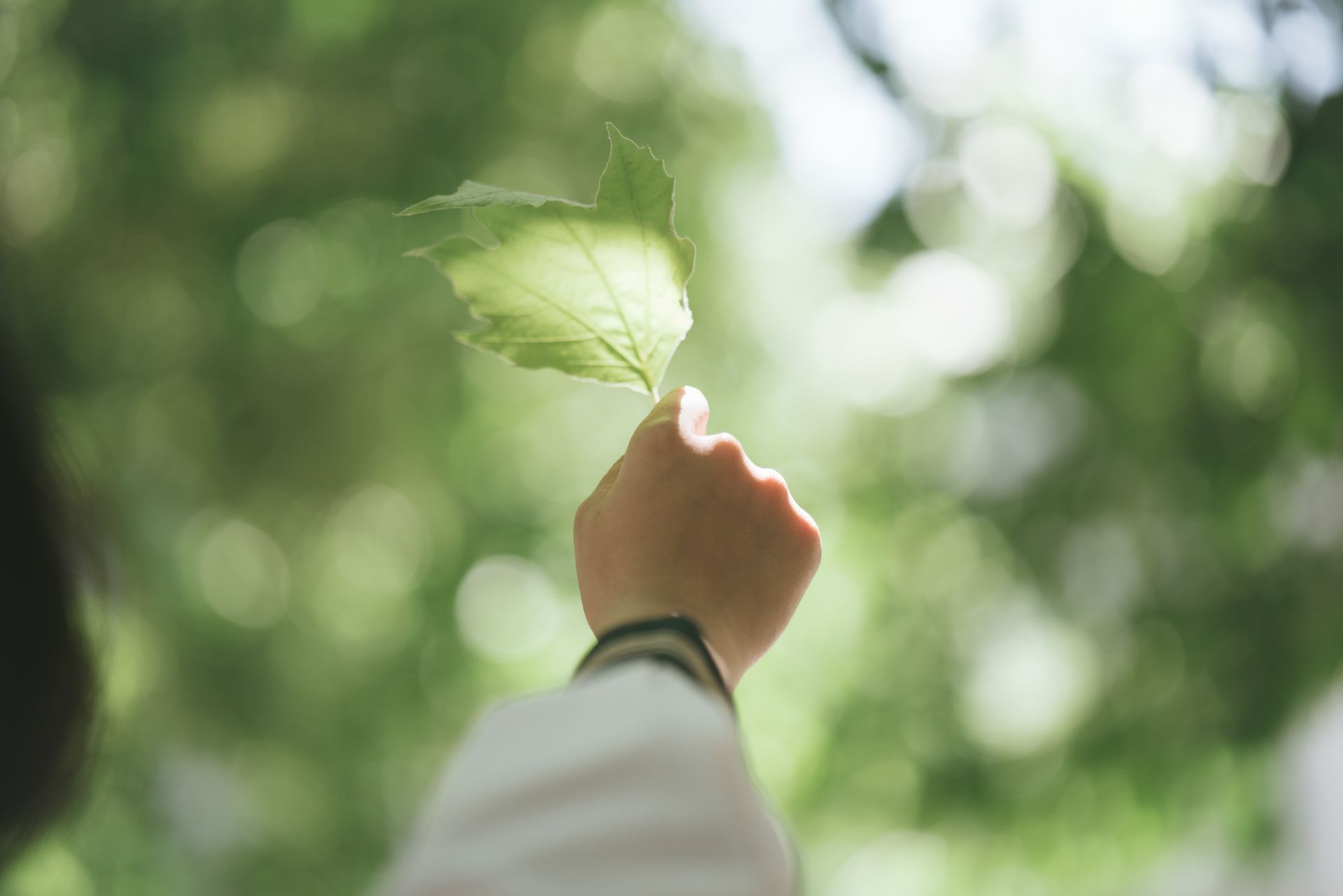 Erhaltung der Lebensqualität
