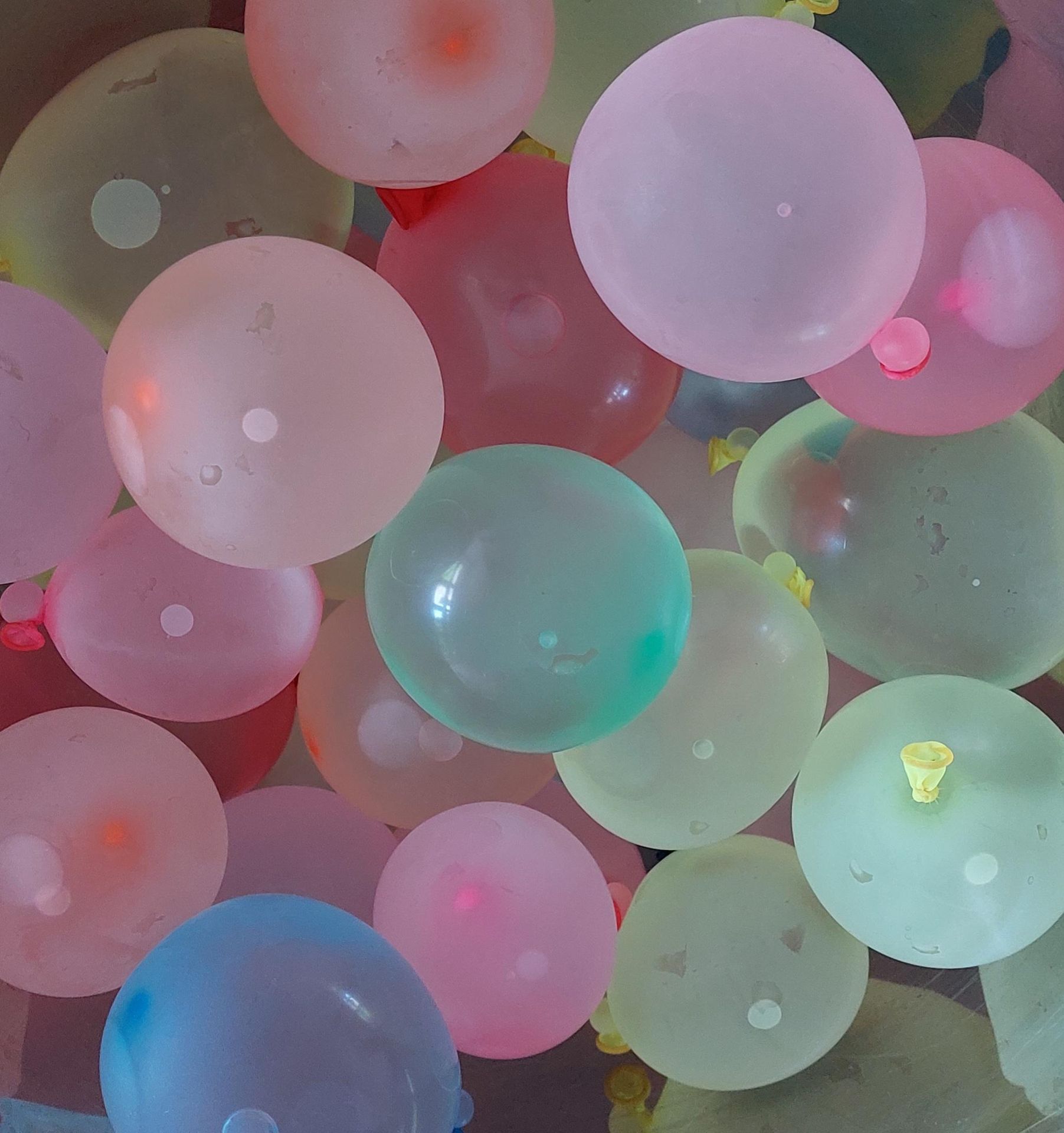 Organisation von Festen und Ausflügen